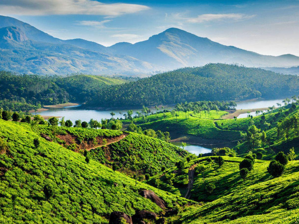 Places Munnar