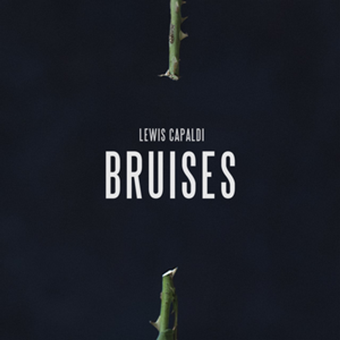 Canción Bruises