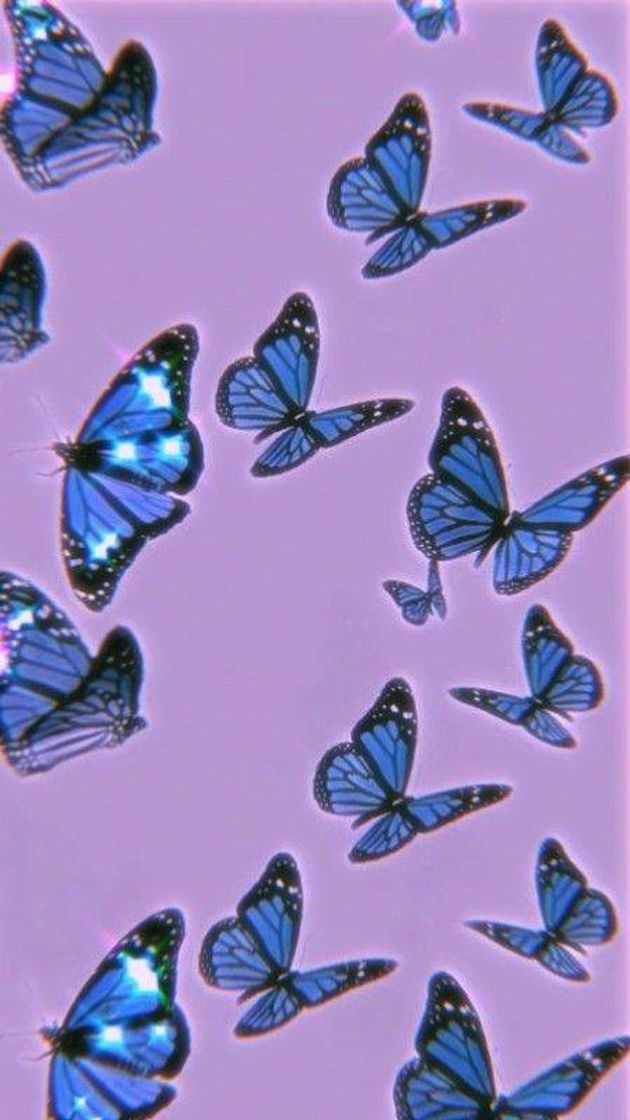 Fashion Butterfly wallpaper 🦋