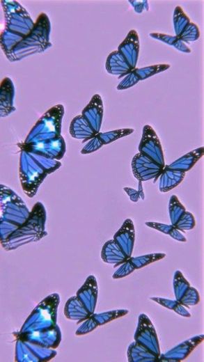 Butterfly wallpaper 🦋