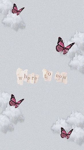 Butterflies 🦋🦋