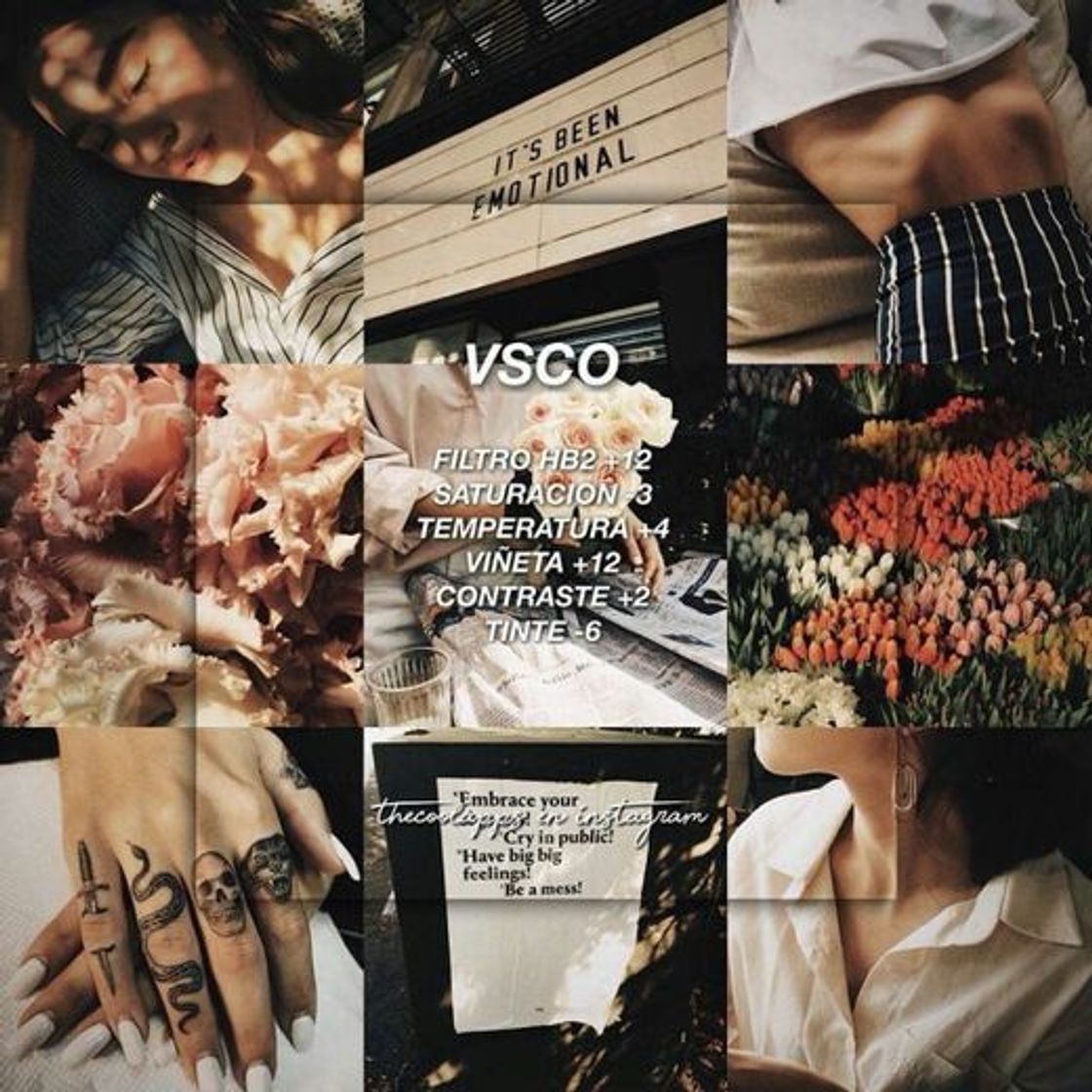 App VSCO: Editor de Fotos y Vídeos