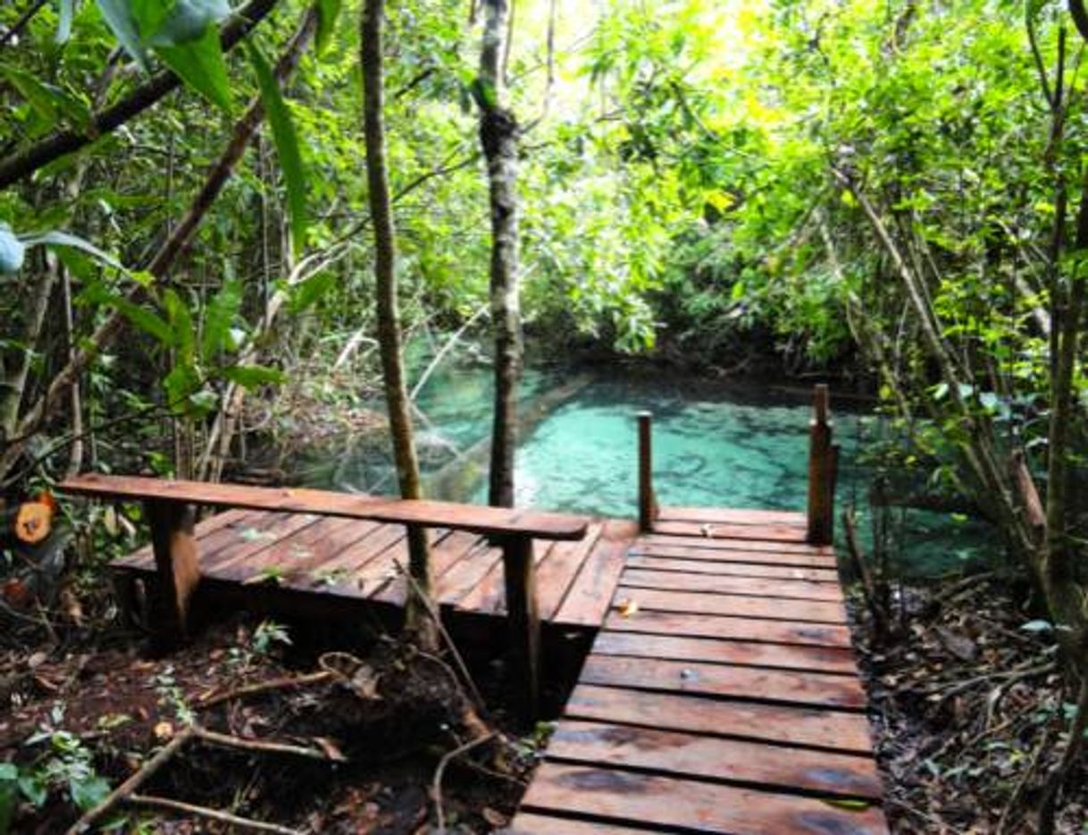 Local: recanto ecológico da lagoa azul.  Nobres mt