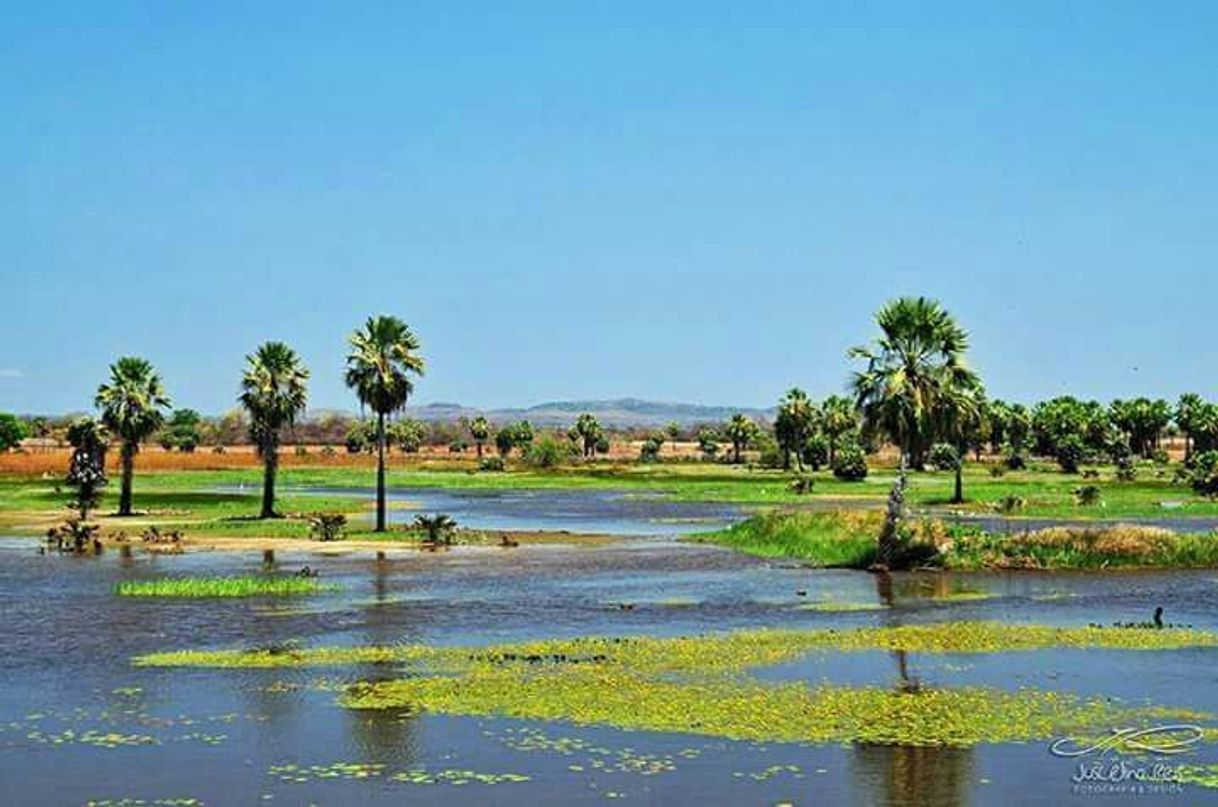 Lugares Campo Maior