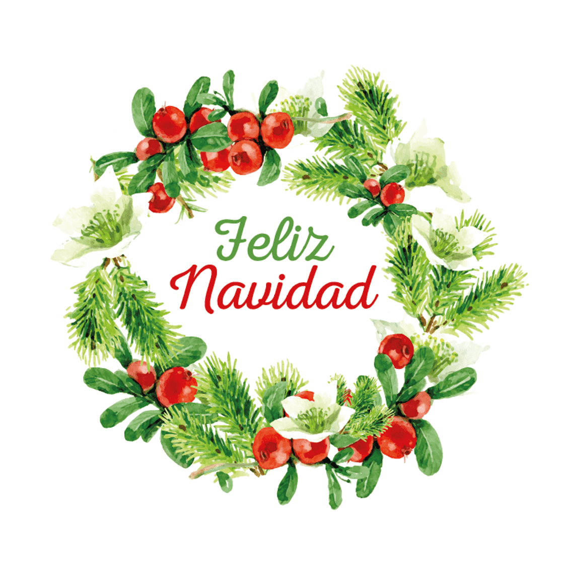 Fashion Navidad 