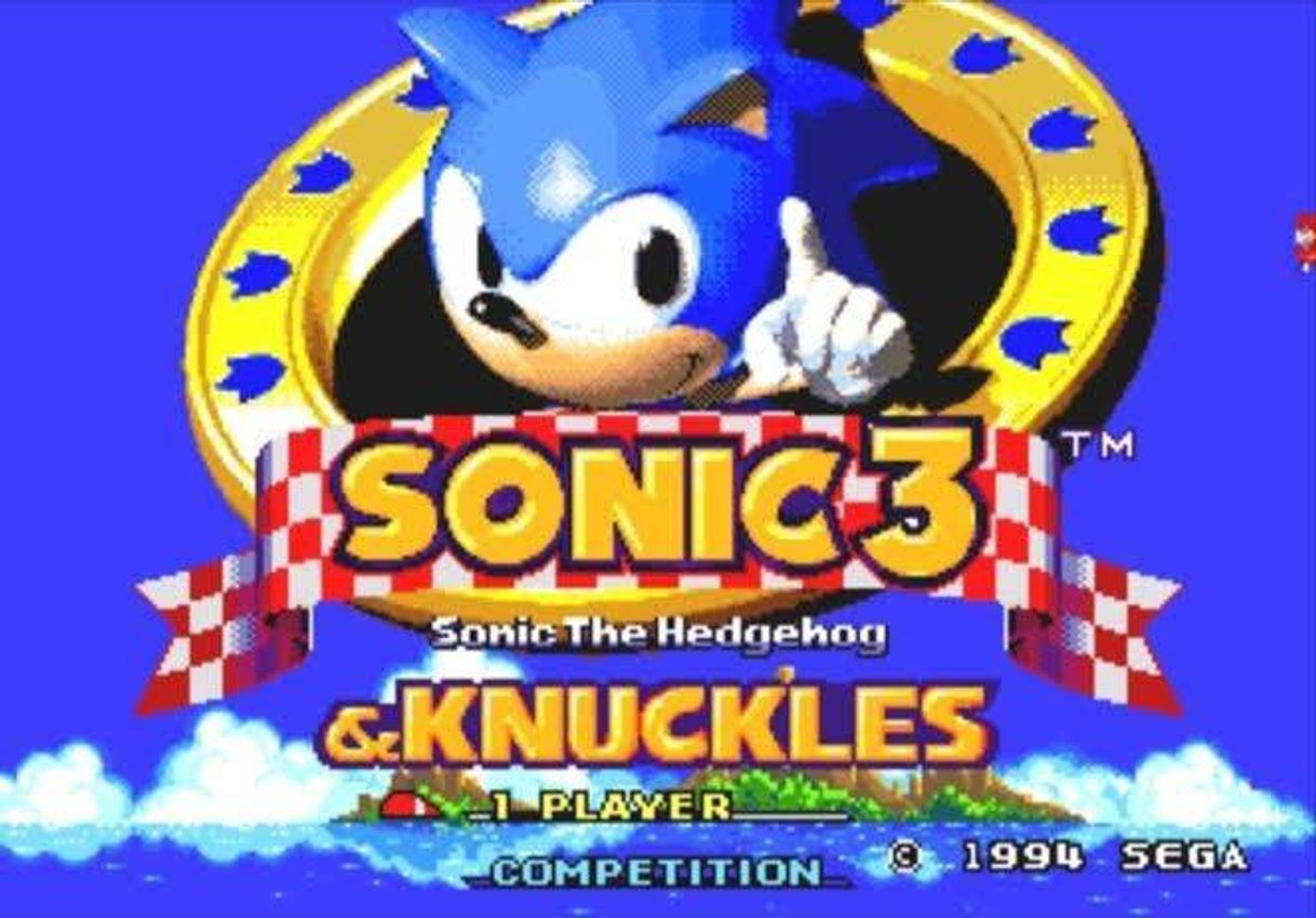 Moda Sonic Hedgehog & Knuckles 3