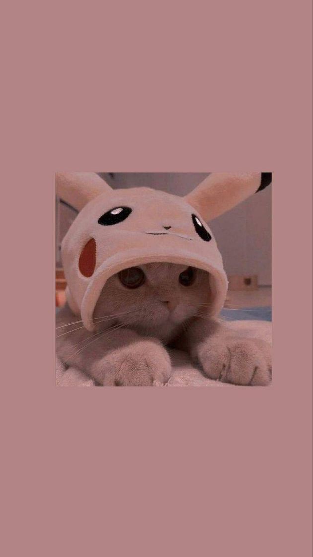 Fashion Gatinho com o chapéu do Pokémon para papel de parede...😍