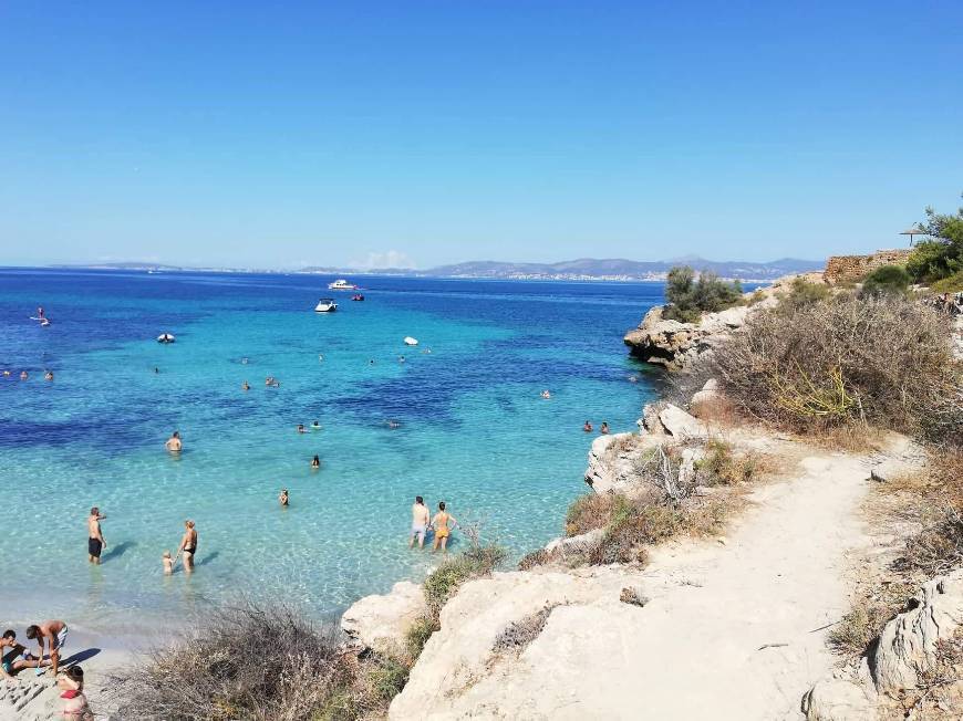 Lugar Arenal Mallorca