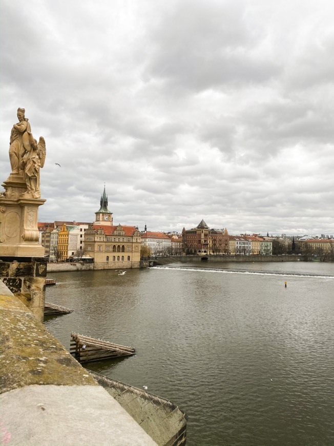 Place Charles Bridge