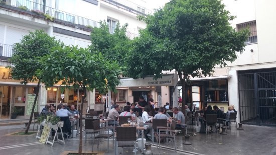 Restaurants Levies Café Bar