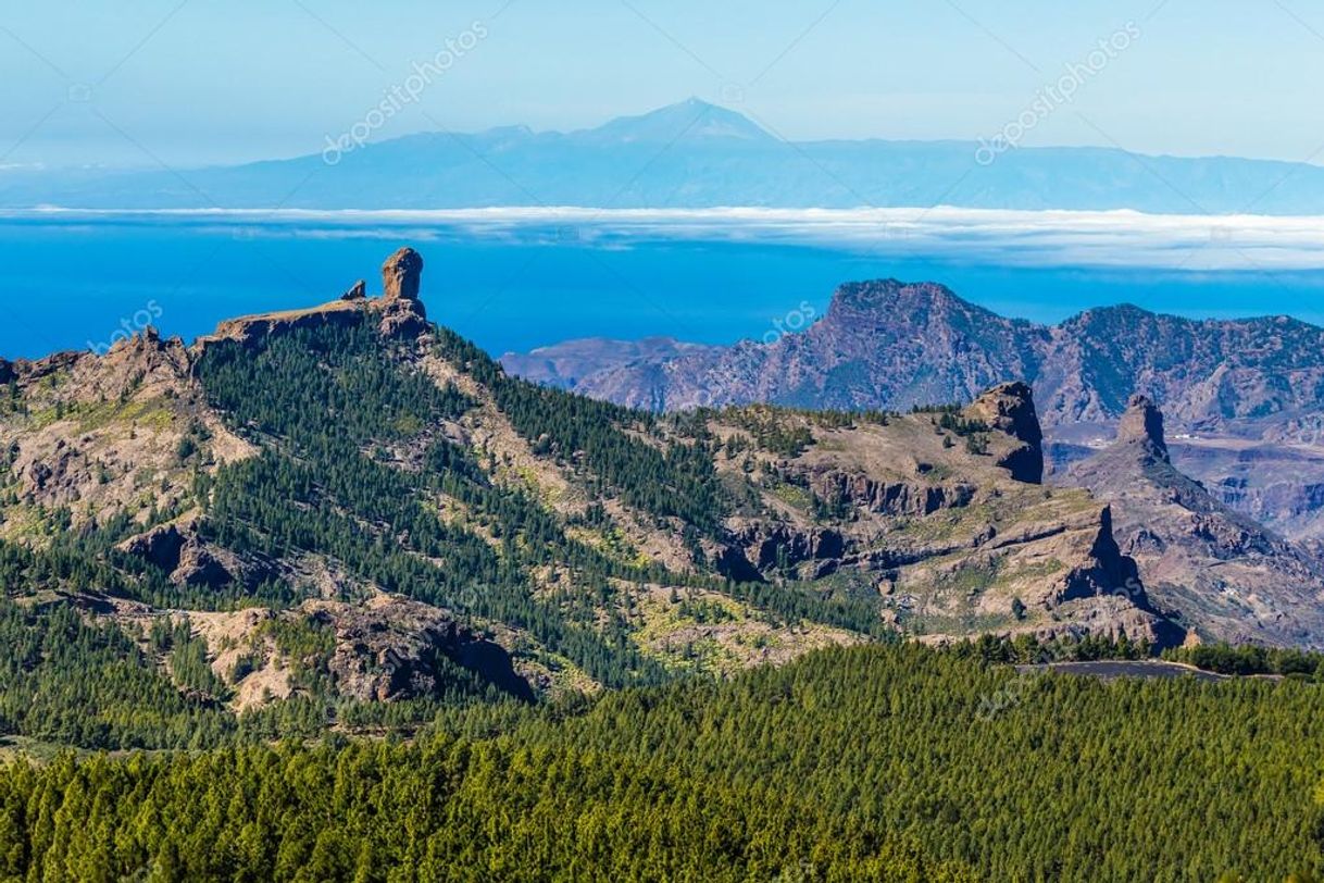 Place Roque Nublo