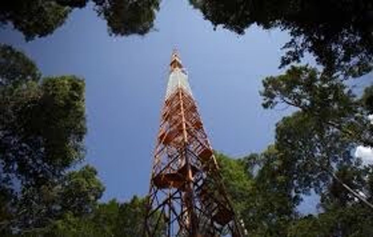 Lugar Amazon Tall Tower Observatory