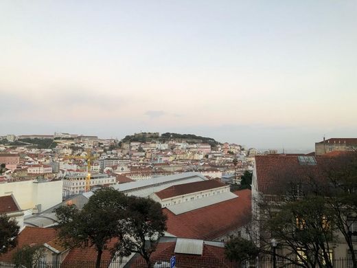 Jardín de São Pedro de Alcântara