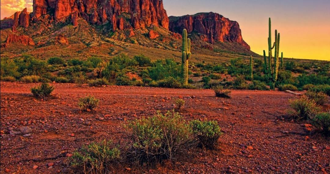 Place Arizona