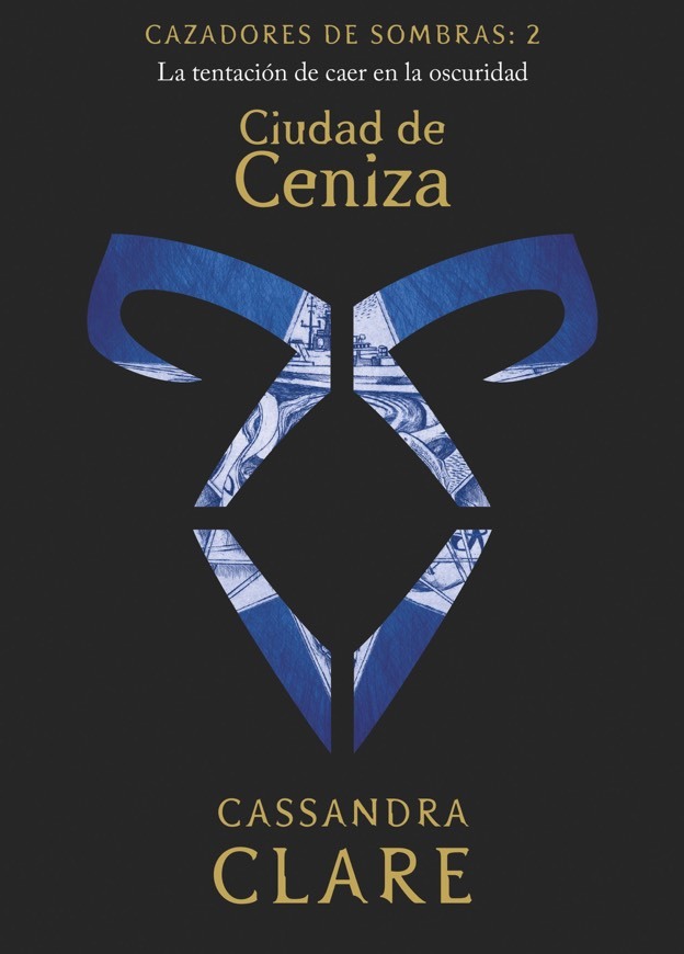 Book Cazadores de Sombras II