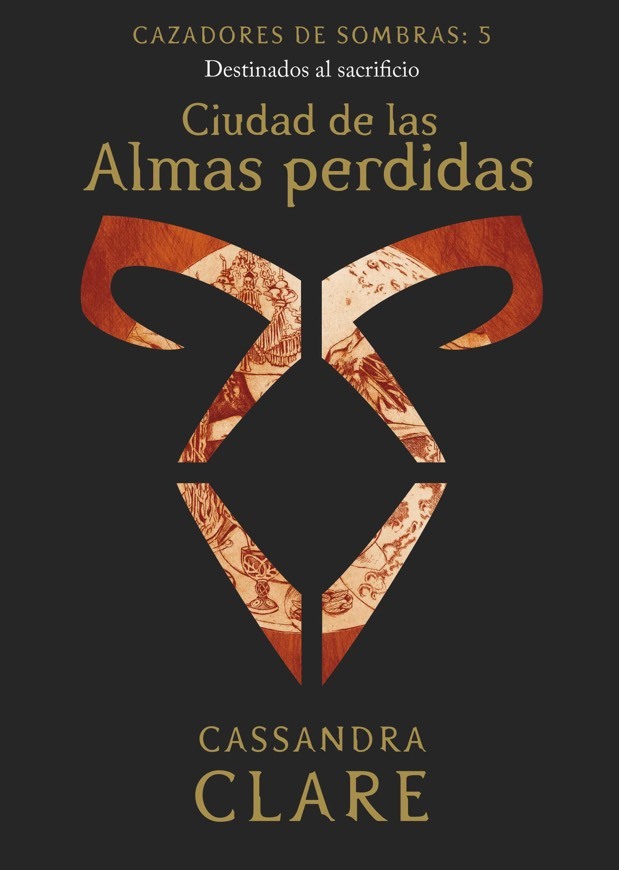 Book Cazadores de Sombras V