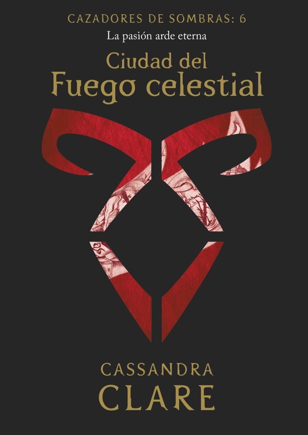 Book Cazadores de Sombras VI