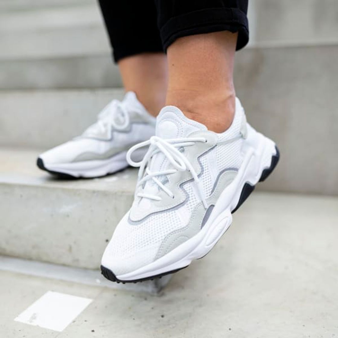 Zapatilla OZWEEGO