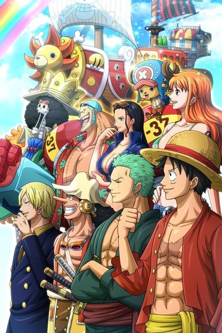 Serie One piece 