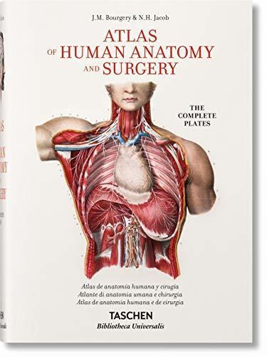 Book Bourgery. Atlas De Anatomía Humana Y Cirugía