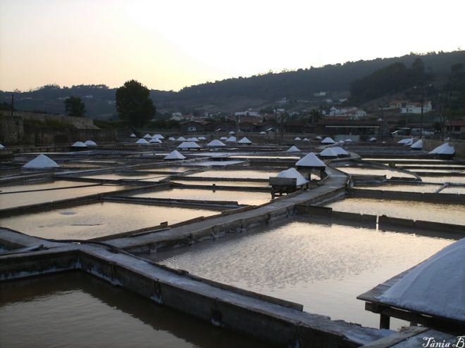 Place Salinas de Rio Maior