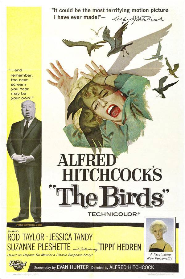 Películas The Birds