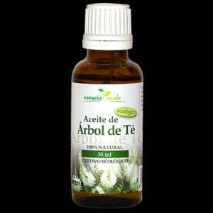 Moda Árbol de té