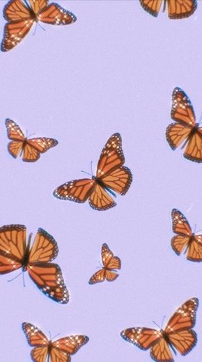 butterfly wallpaper 🦋✨