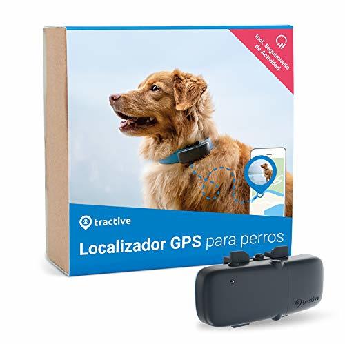 Product Tractive Localizador GPS para perros, rango ilimitado, seguimiento de actividad, resistente al