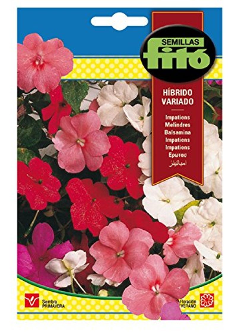 Semillas Fitó 664 - Semillas de Impatiens Híbrido Variada