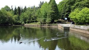 Lugar Lago Castiñeiras