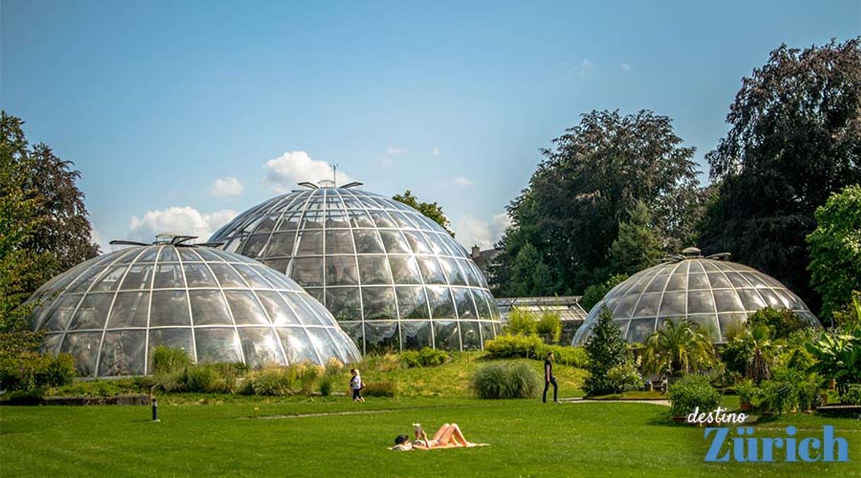 Place Jardín Botánico de Zúrich