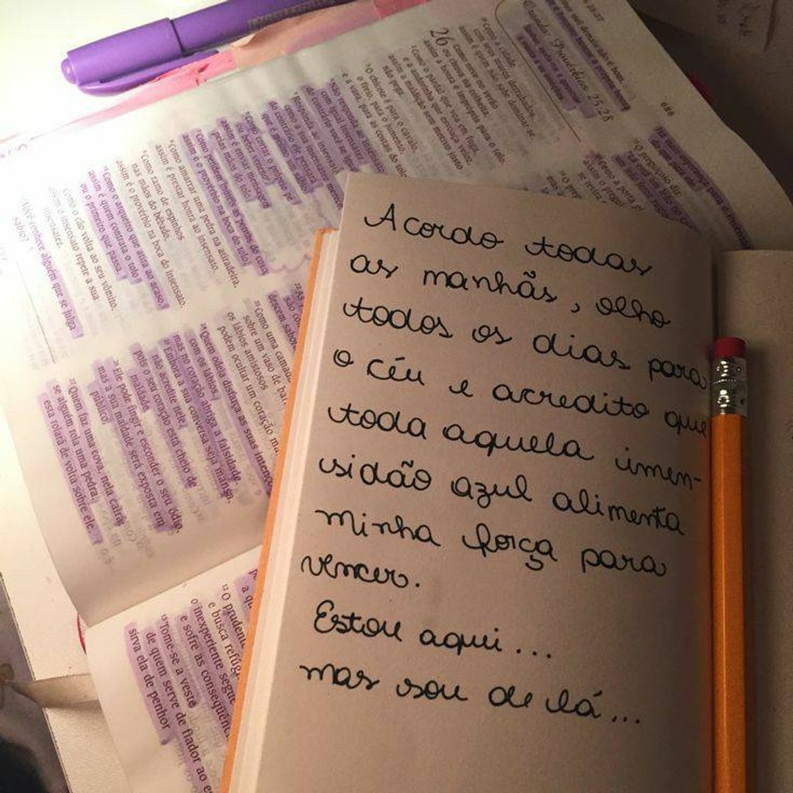 Moda 💜🙏