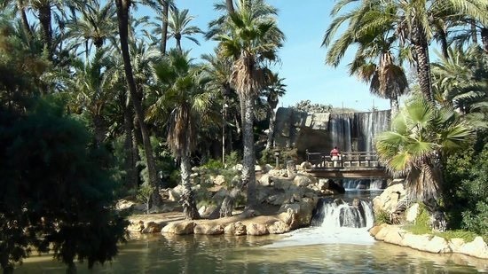 Place El Palmeral