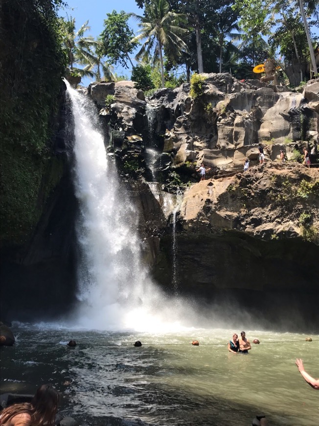 Place Tegenungan Waterfall