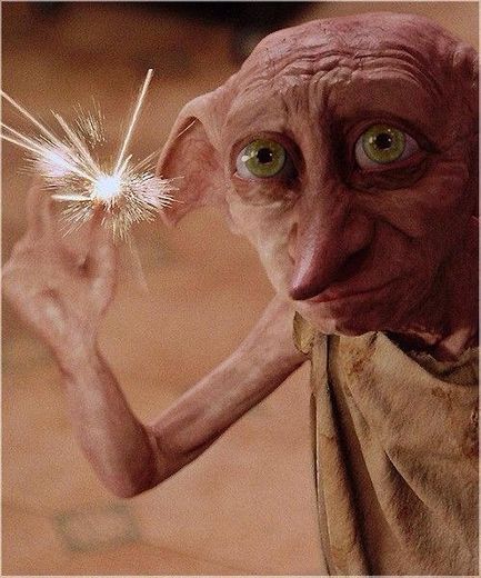 Amo o dobby😍