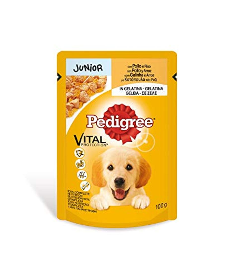 Places Bolsita para perros junior de pollo y arroz 100g