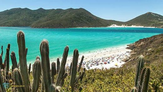 Prainha (Arraial do cabo)