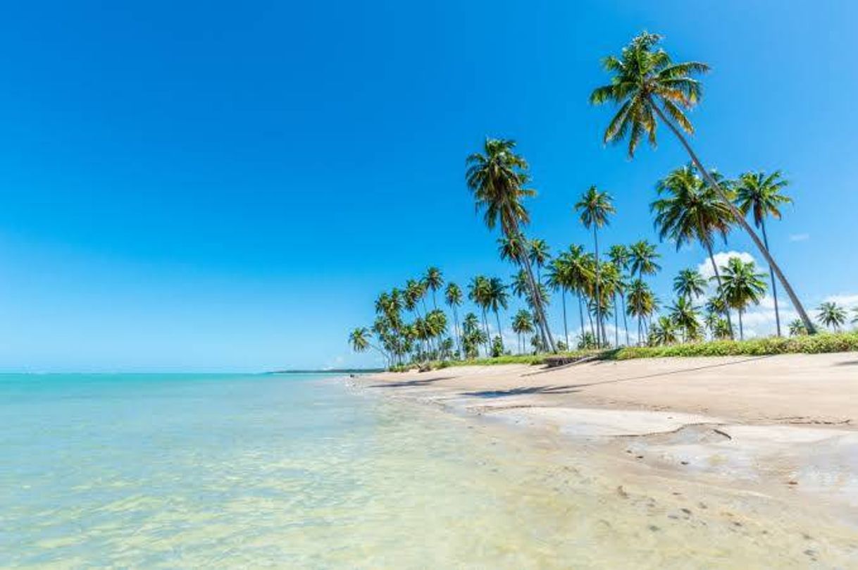 Lugar Praia Patacho