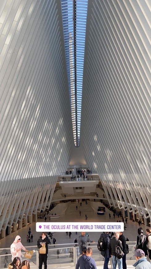 Place The Oculus