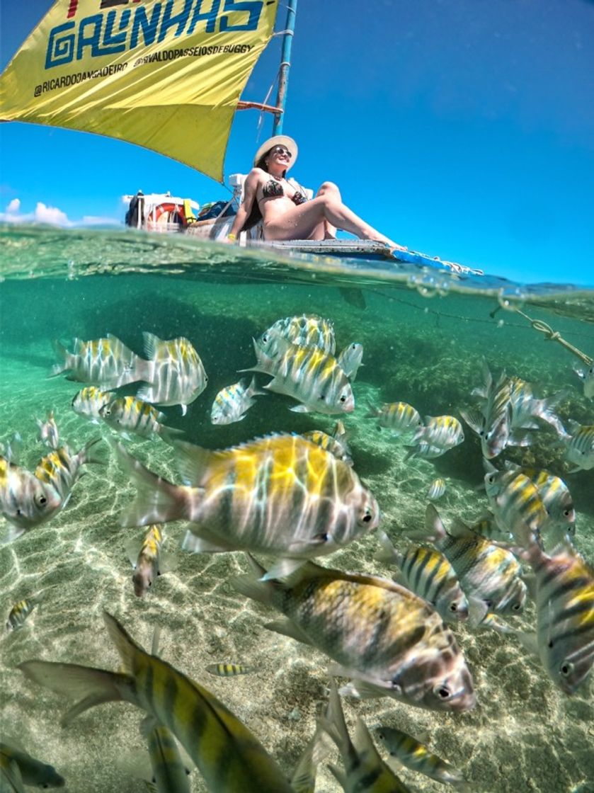 Lugar Porto de Galinhas