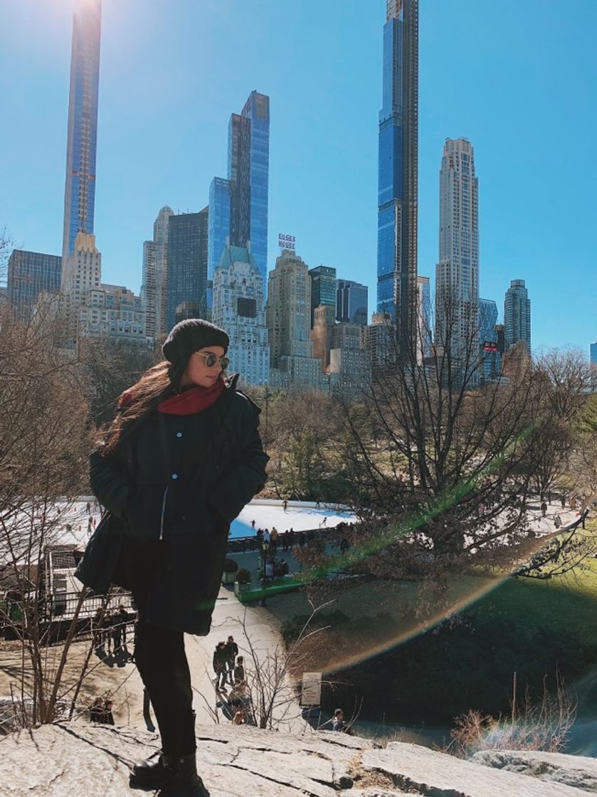 Social Central Park 