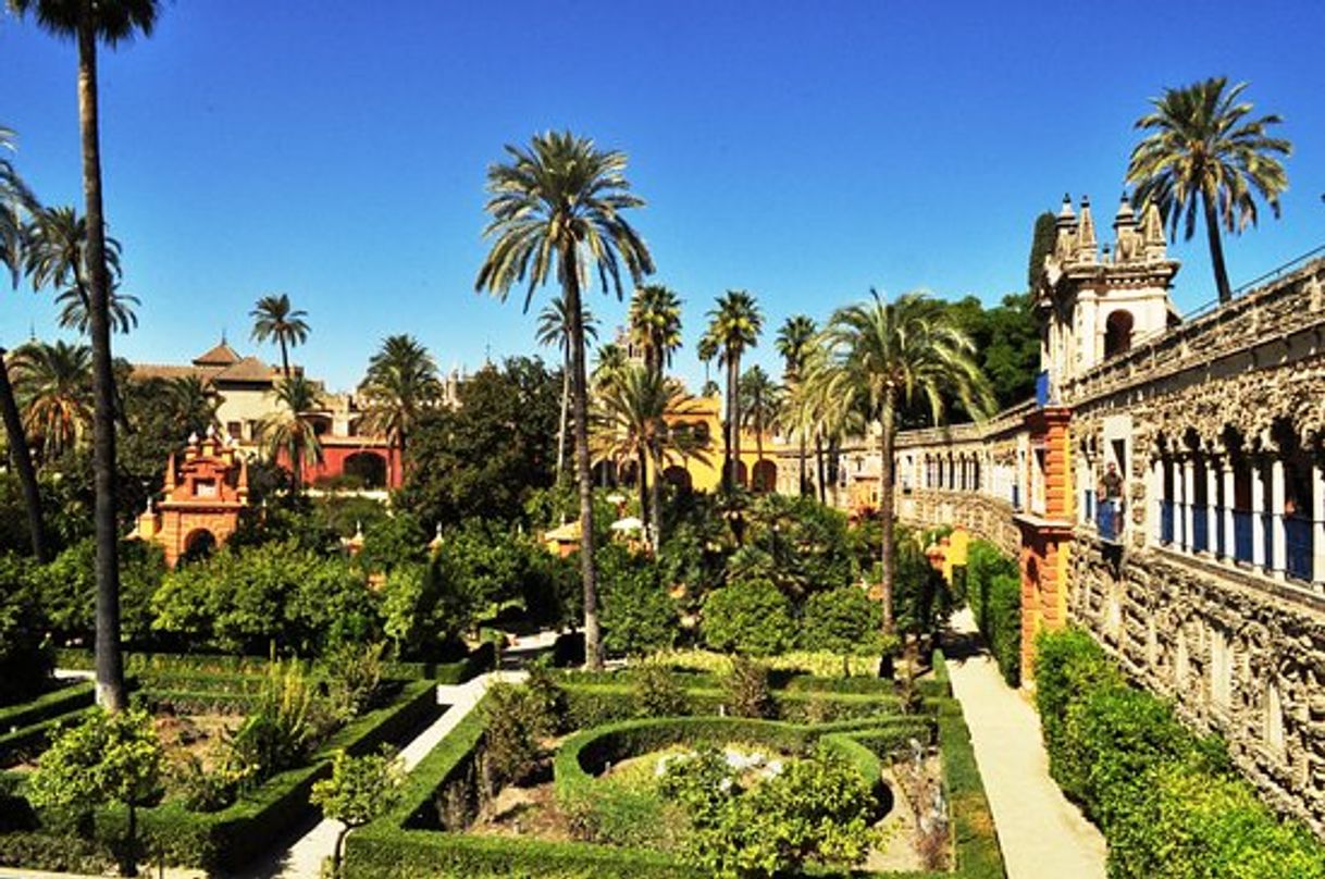 Place Real Alcázar de Sevilla