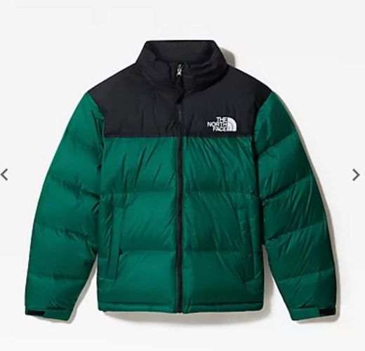 THE NORTH FACE NUPSET 
