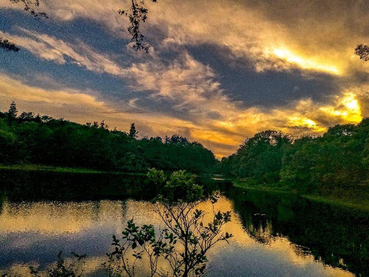 Lugar Laguna Don Manuel