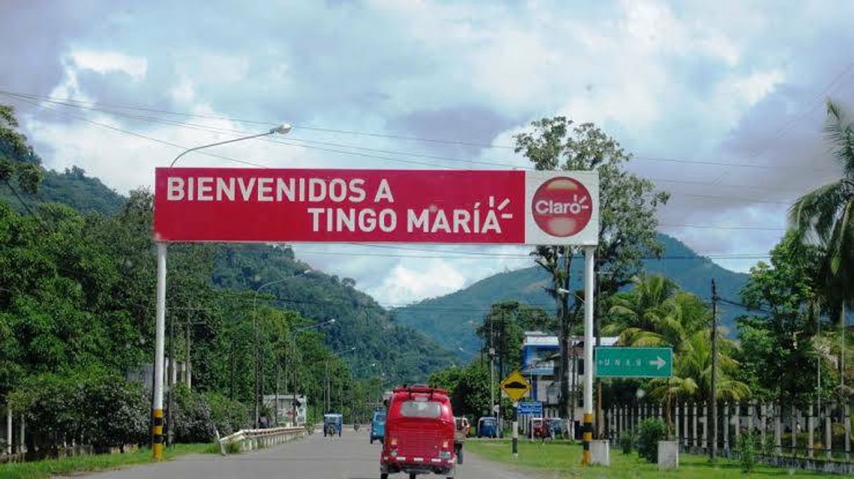 Lugar Tingo María