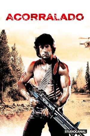 Movie Acorralado