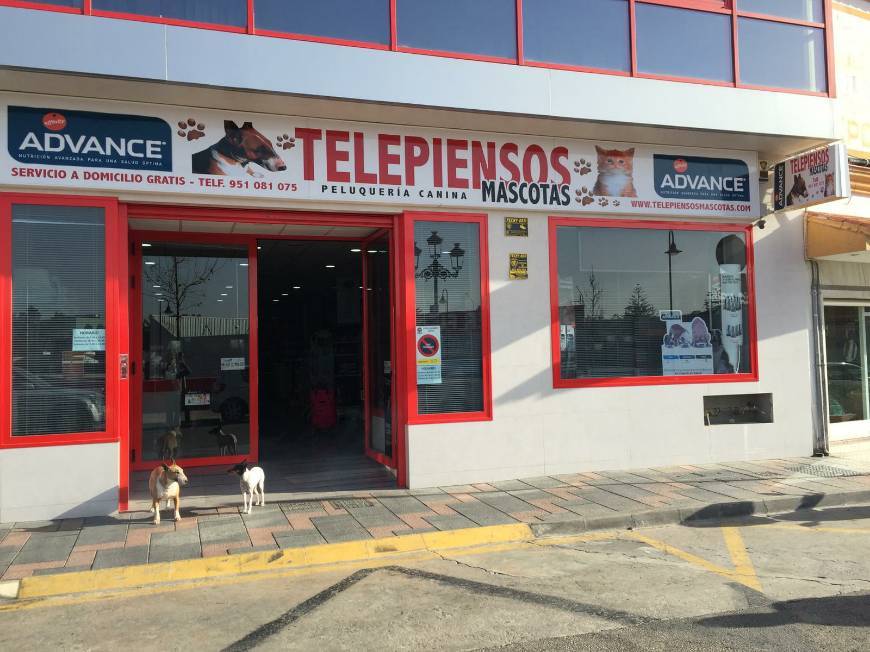 Lugar Telepiensos Mascotas