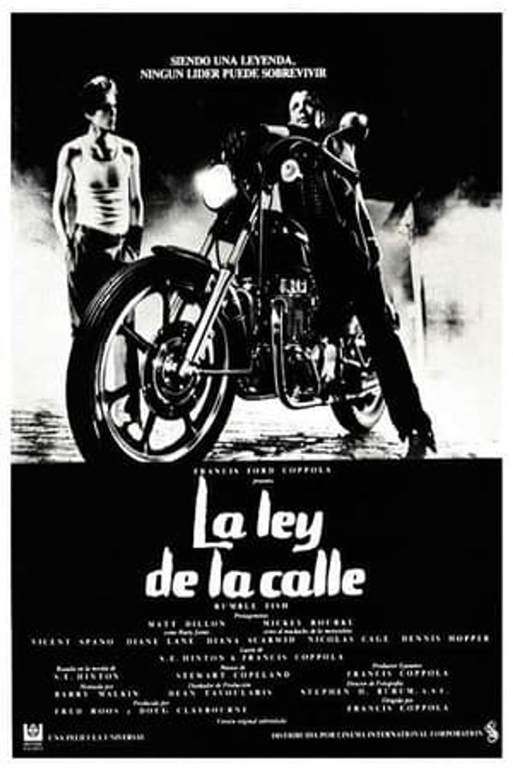 Movie La ley de la calle