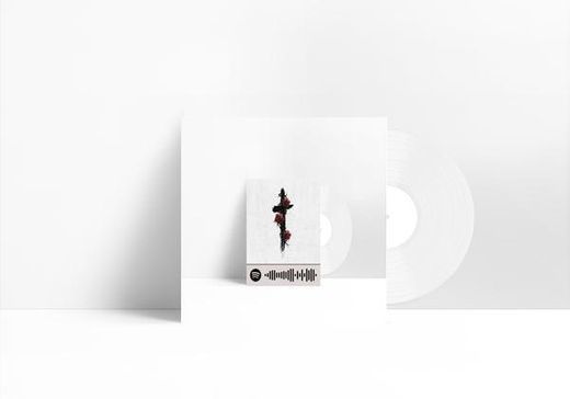 Canción Roses - Imanbek Remix